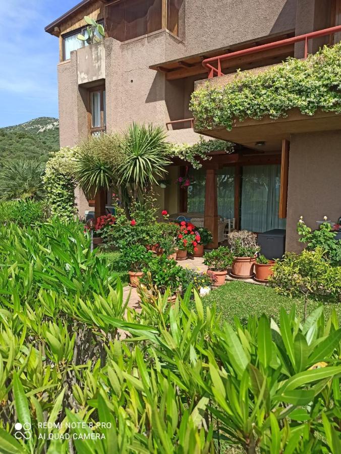 Cugnana Mare Resort Zewnętrze zdjęcie